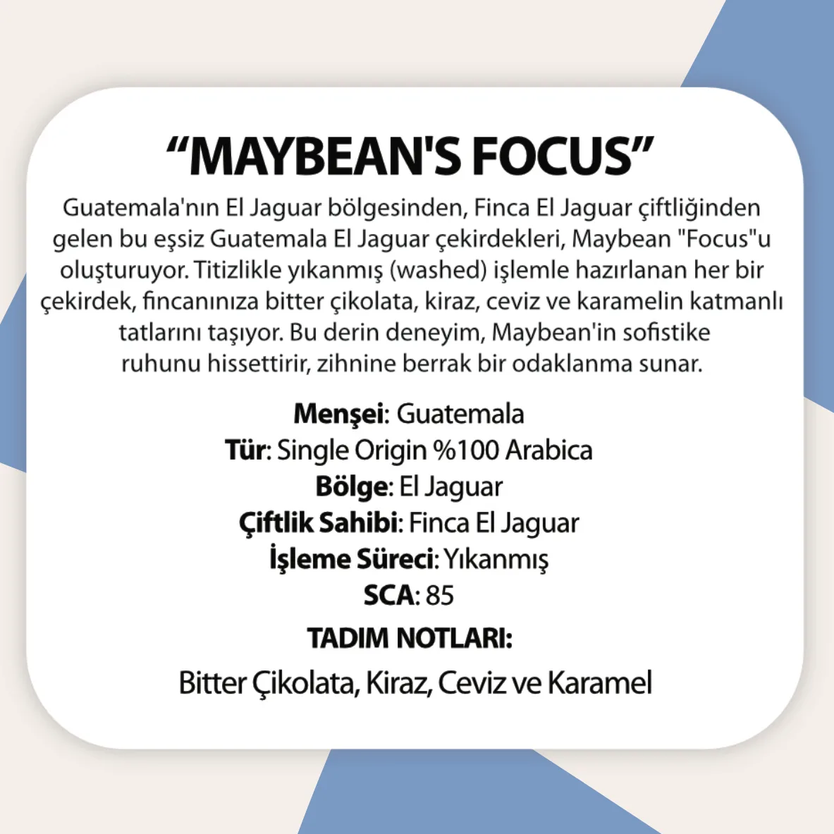 maybeans-focus-cekirdek-künyesi